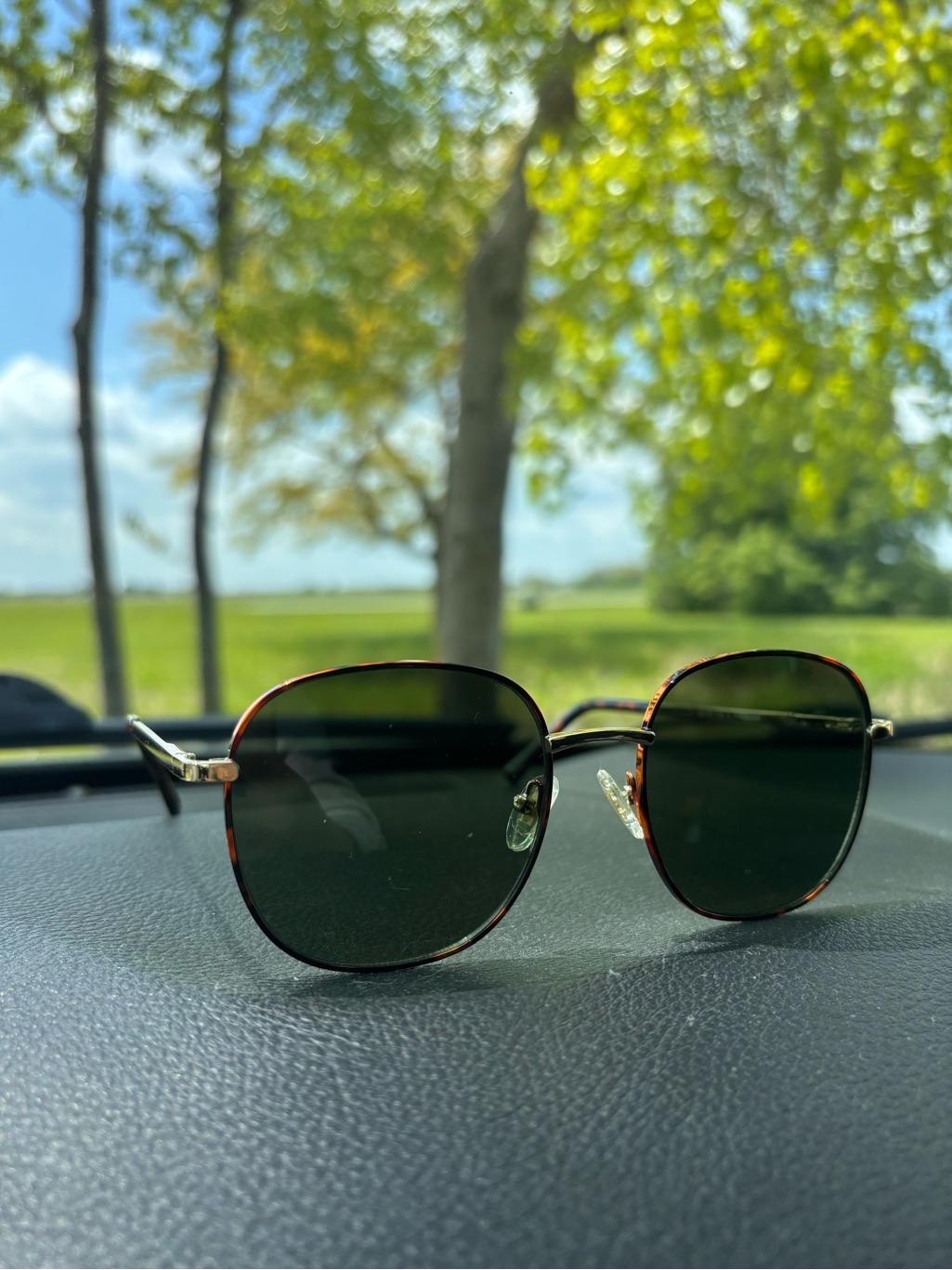 Sojo’s Unisex Tortoiseshell Frame Sunglasses With Dark Green Lenses